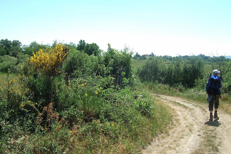 2011-05- (325).JPG